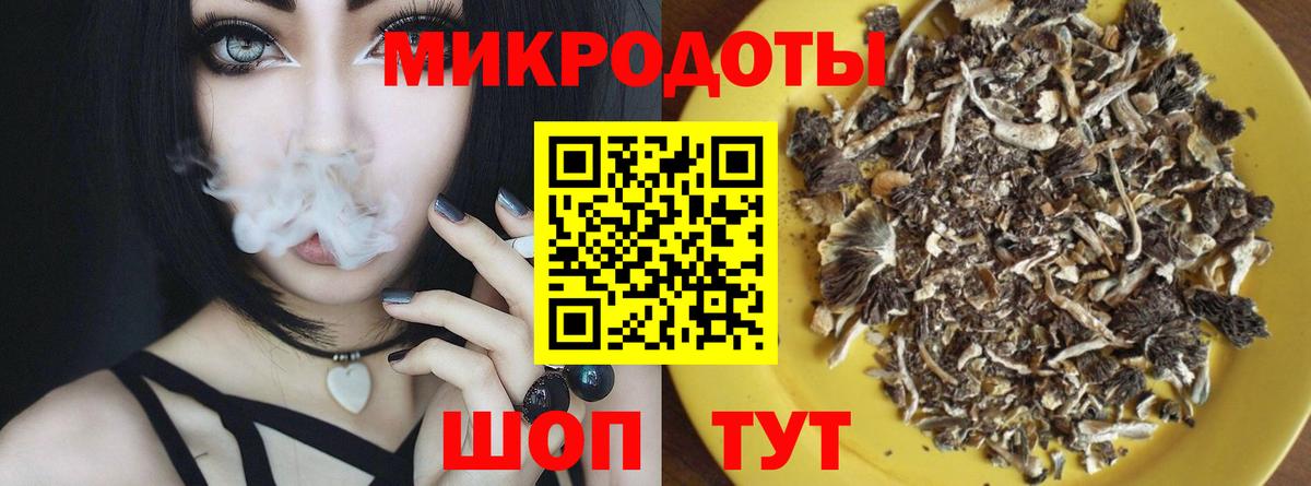 Казань  Псилоцибиновые грибы мухоморы  Вход с VPN 
